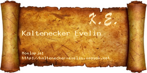 Kaltenecker Evelin névjegykártya